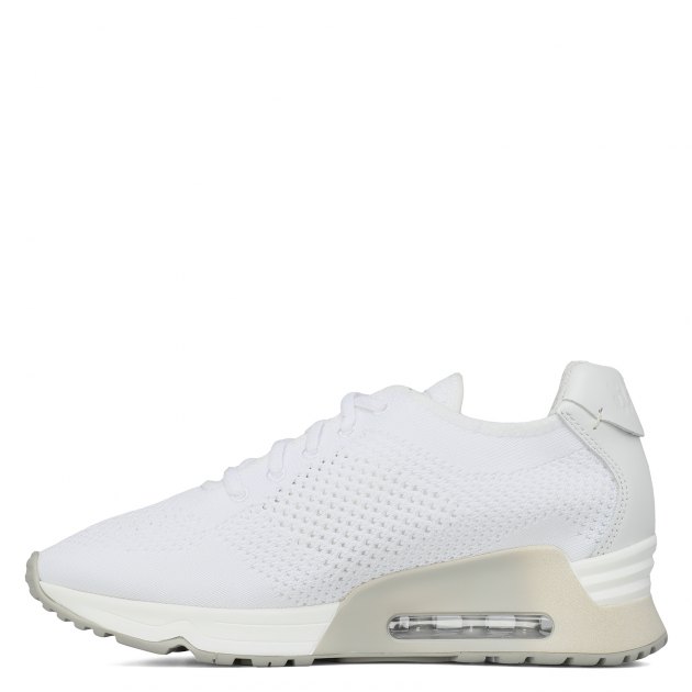 Женские кроссовки ASH, Артикул LUCKY ss16fw17, белый | 1715484. Ракурс 4