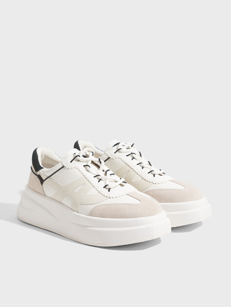 Женские кеды ASH, Артикул INTENSE SS22, молочно-белый | 2899315. Ракурс 3