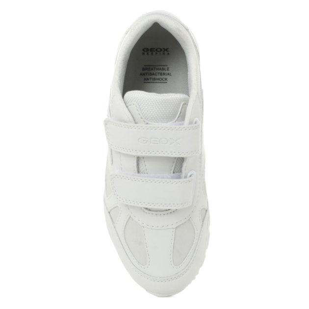 GEOX J PAVEL J0415C 3012489