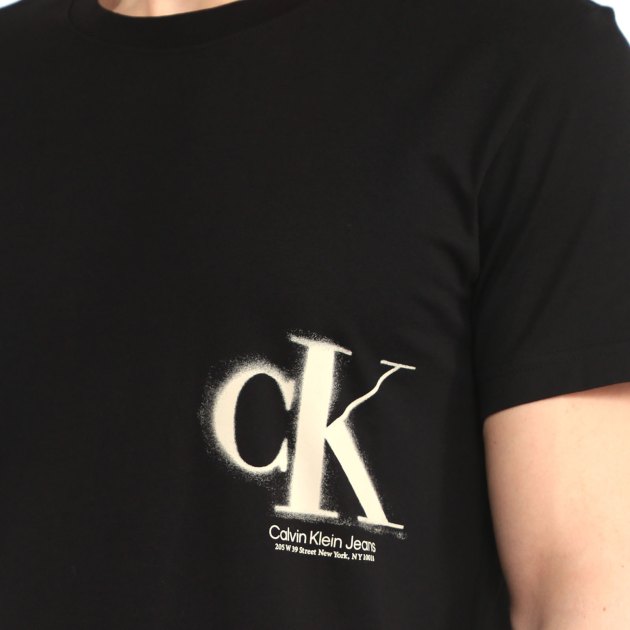 Мужская футболка CALVIN KLEIN T-SHIRT, Артикул J322875, черный | 3861197. Ракурс 3