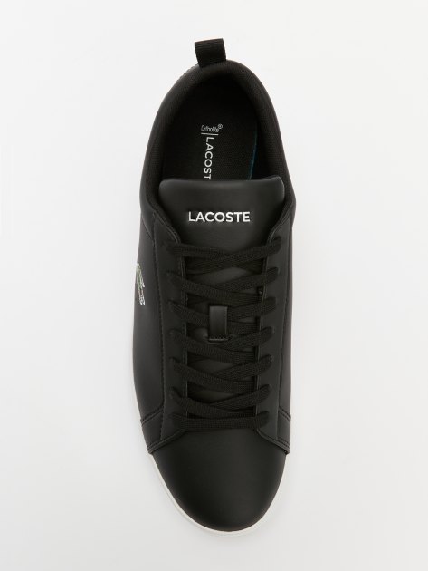 Мужские кеды LACOSTE CARNA BASE 224 1 SMA, Артикул 748SMA0112, черный | 4131866. Ракурс 5