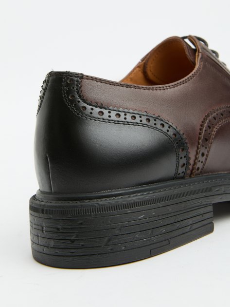 Мужские броги MAISON DAVID, Артикул TM3146D-7, коричневый | 4176263. Ракурс 6