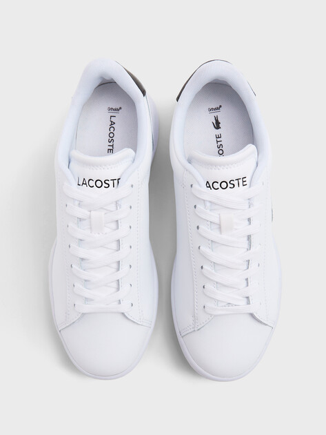 Женские кеды LACOSTE CARNABY SET 225 6 SFA, Артикул 750SFA0054, белый | 4552589. Ракурс 4 Женские кеды LACOSTE CARNABY SET 225 6 SFA, Артикул 750SFA0054, белый | 4552589. Ракурс 4