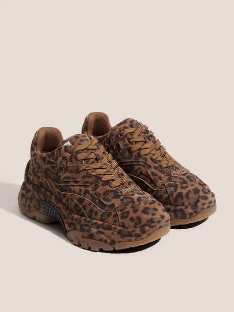 Женские кроссовки ASH ADDICT BIS, Артикул ADDICT BIS, леопардовый принт | 4596516. Ракурс 2 Женские кроссовки ASH ADDICT BIS, Артикул ADDICT BIS, леопардовый принт | 4596516. Ракурс 2