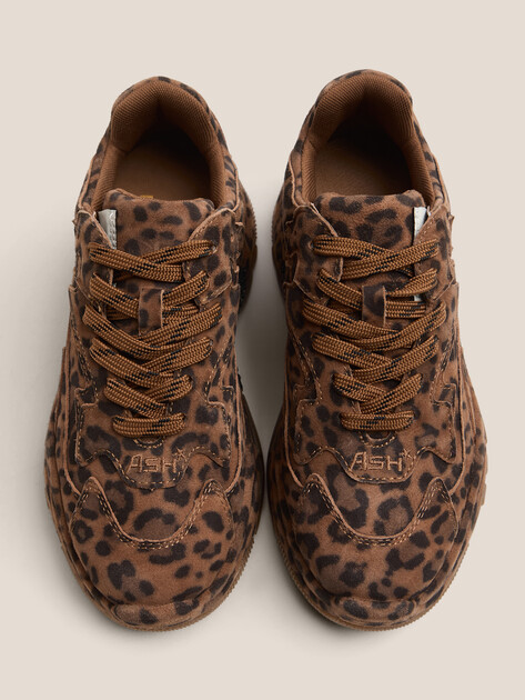 Женские кроссовки ASH ADDICT BIS, Артикул ADDICT BIS, леопардовый принт | 4596516. Ракурс 4 Женские кроссовки ASH ADDICT BIS, Артикул ADDICT BIS, леопардовый принт | 4596516. Ракурс 4
