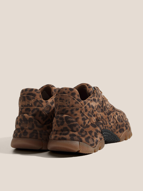 Женские кроссовки ASH ADDICT BIS, Артикул ADDICT BIS, леопардовый принт | 4596516. Ракурс 5 Женские кроссовки ASH ADDICT BIS, Артикул ADDICT BIS, леопардовый принт | 4596516. Ракурс 5