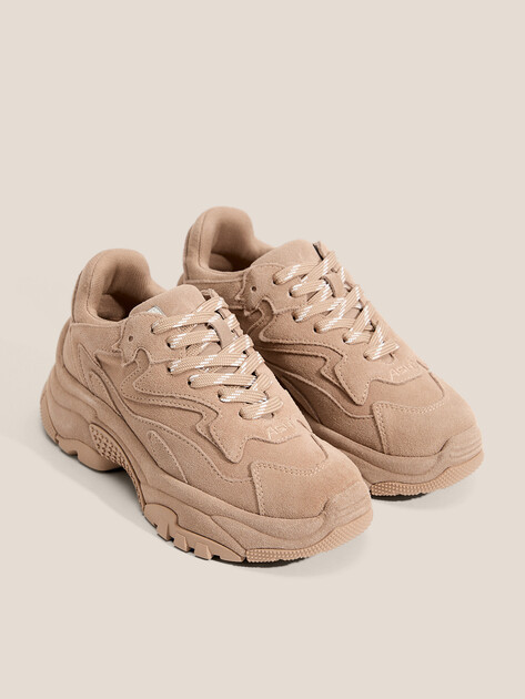 Женские кроссовки ASH ADDICT BIS, Артикул ADDICT BIS, темно-бежевый | 4596533. Ракурс 2 Женские кроссовки ASH ADDICT BIS, Артикул ADDICT BIS, темно-бежевый | 4596533. Ракурс 2