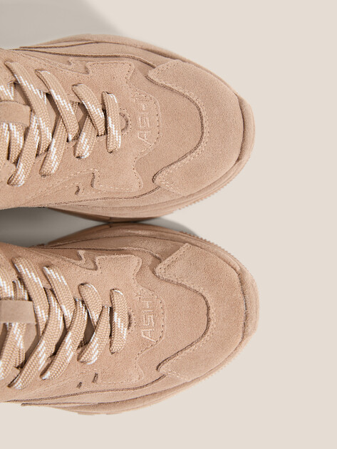 Женские кроссовки ASH ADDICT BIS, Артикул ADDICT BIS, темно-бежевый | 4596533. Ракурс 3 Женские кроссовки ASH ADDICT BIS, Артикул ADDICT BIS, темно-бежевый | 4596533. Ракурс 3