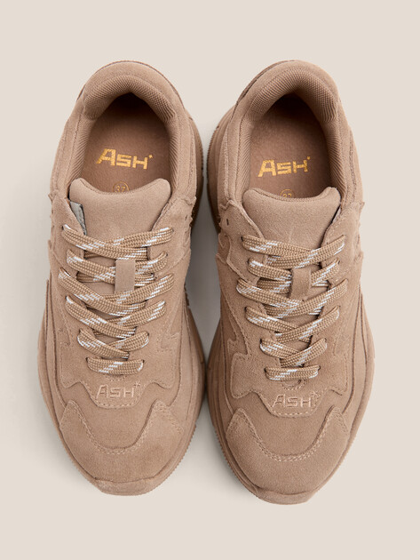 Женские кроссовки ASH ADDICT BIS, Артикул ADDICT BIS, темно-бежевый | 4596533. Ракурс 4 Женские кроссовки ASH ADDICT BIS, Артикул ADDICT BIS, темно-бежевый | 4596533. Ракурс 4