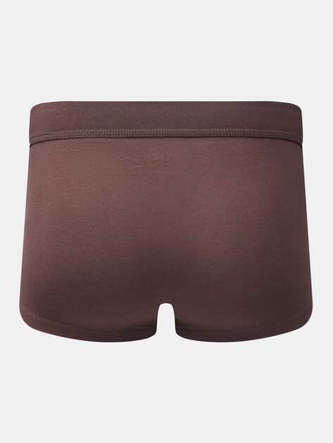 Мужские трусы GUESS COTTON MODAL BOXER TRUNK, Артикул U5GF30KCPZ1, коричневый | 4725724. Ракурс 2 Мужские трусы GUESS COTTON MODAL BOXER TRUNK, Артикул U5GF30KCPZ1, коричневый | 4725724. Ракурс 2