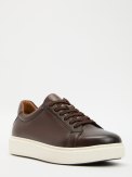 TENDANCE TM3124D-6 темно-коричневый