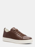 TENDANCE XDW390-26 темно-коричневый