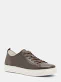 TENDANCE XDW390-26 серо-коричневый
