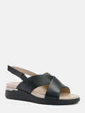 TENDANCE CLF901-01 черный
