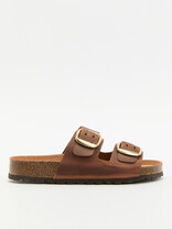 BIO GREEN PT10-20 красно-коричневый