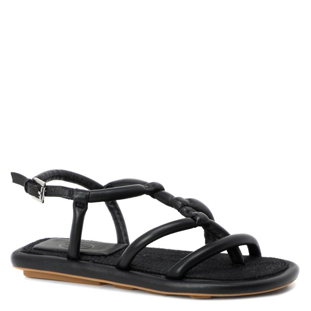 Ash thelma outlet