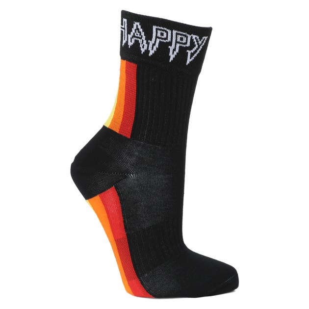Женские носки HAPPY SOCKS, Артикул COLOUR STRIPE 3/4 CREW SOCK ATCOS14, черный | 3163348. Ракурс 1