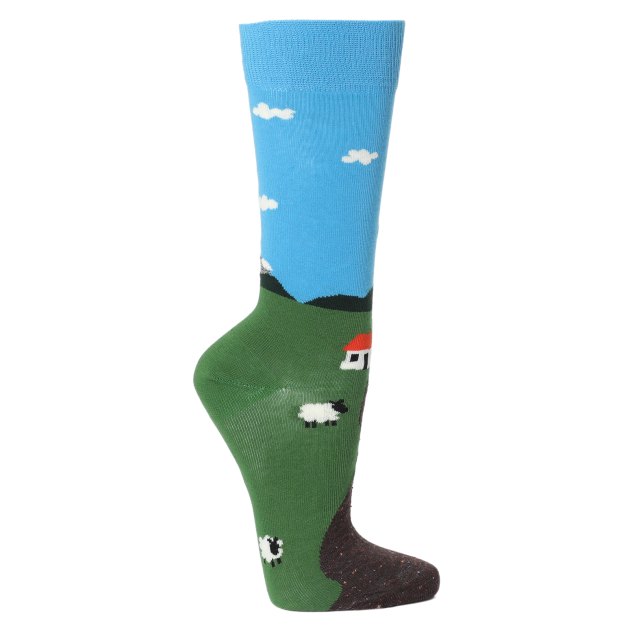 Носки HAPPY SOCKS, Артикул LITTLE HOUSE ON THE MOORLAND SOCK LHS01, зеленый | 3164314. Ракурс 1