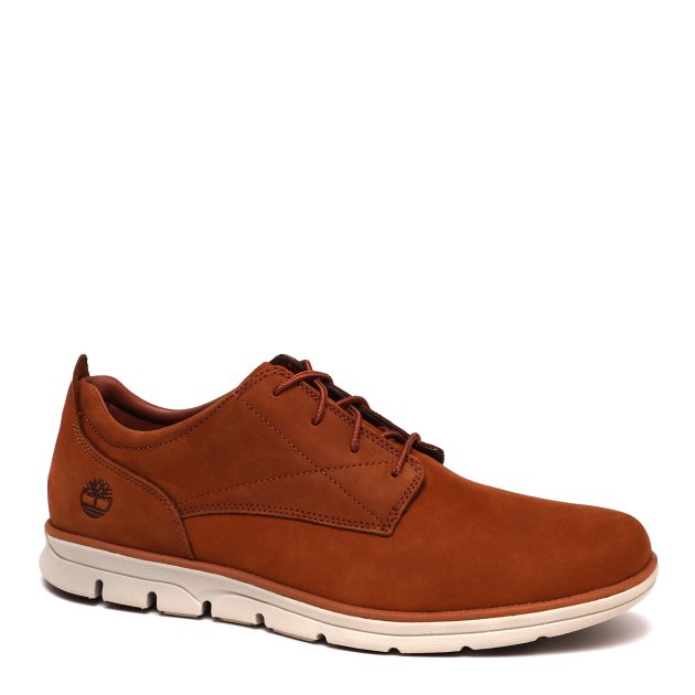 Bradstreet pt oxford new arrivals