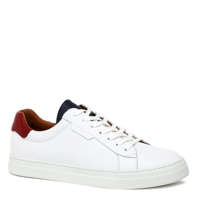 Schmoove basket clearance