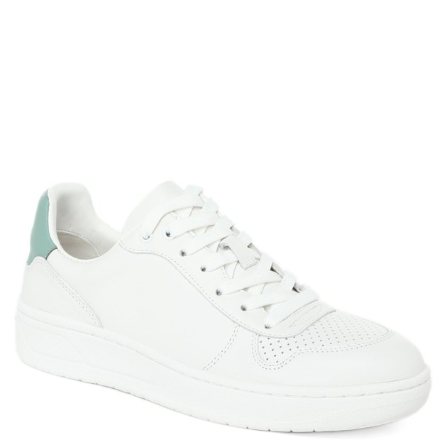 TENDANCE 3583471