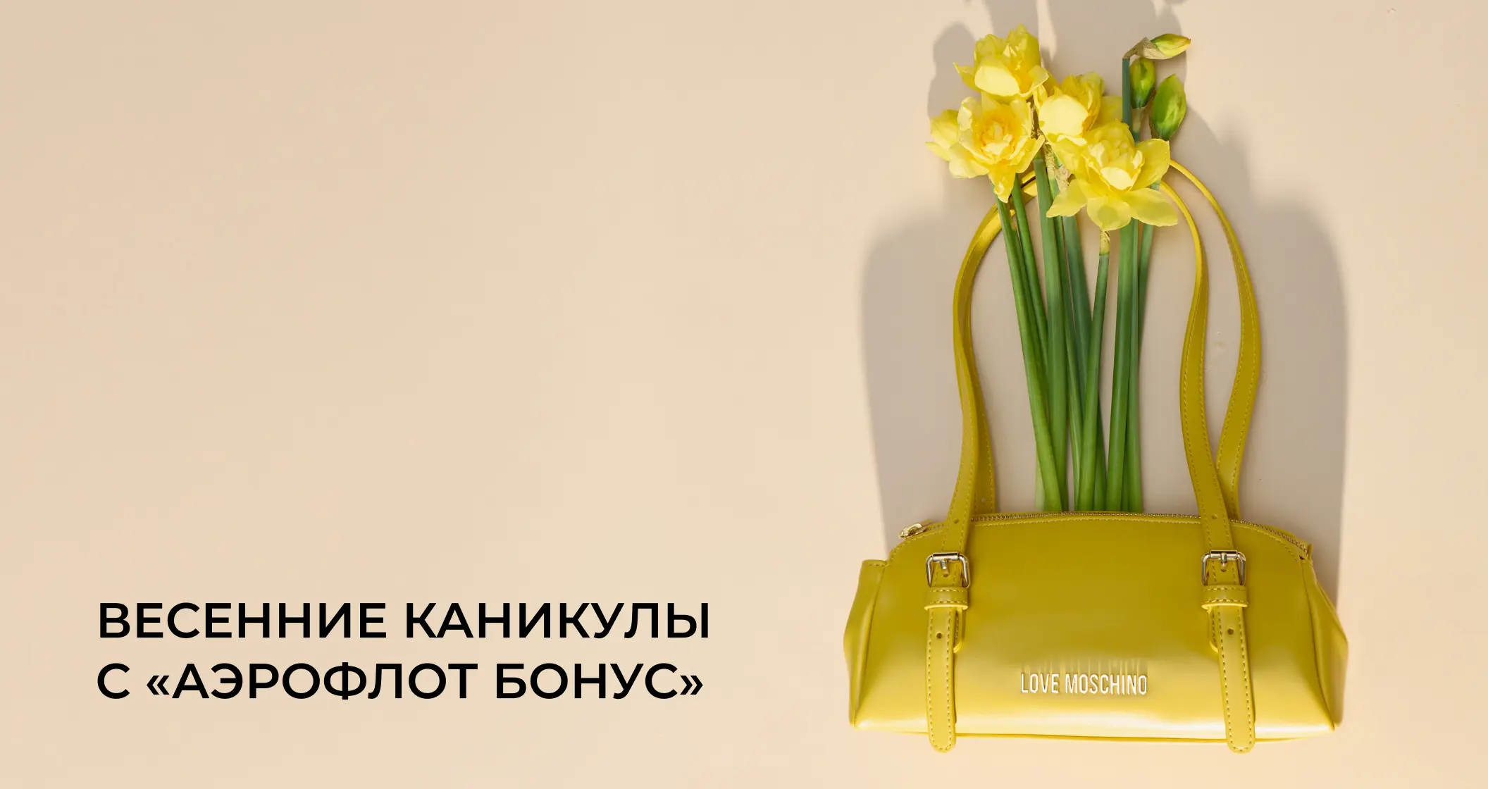 Весенние каникулы с Аэрофлот Бонус